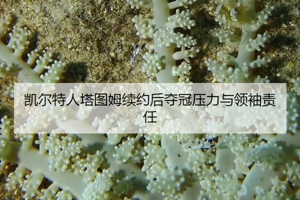 kai-er-te-ren-ta-tu-mu-xu-yue-hou-duo-guan-ya-li-yu-ling-xiu-ze-ren-2-416.jpg