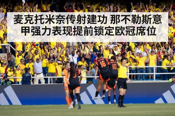 soccer fans celebrating